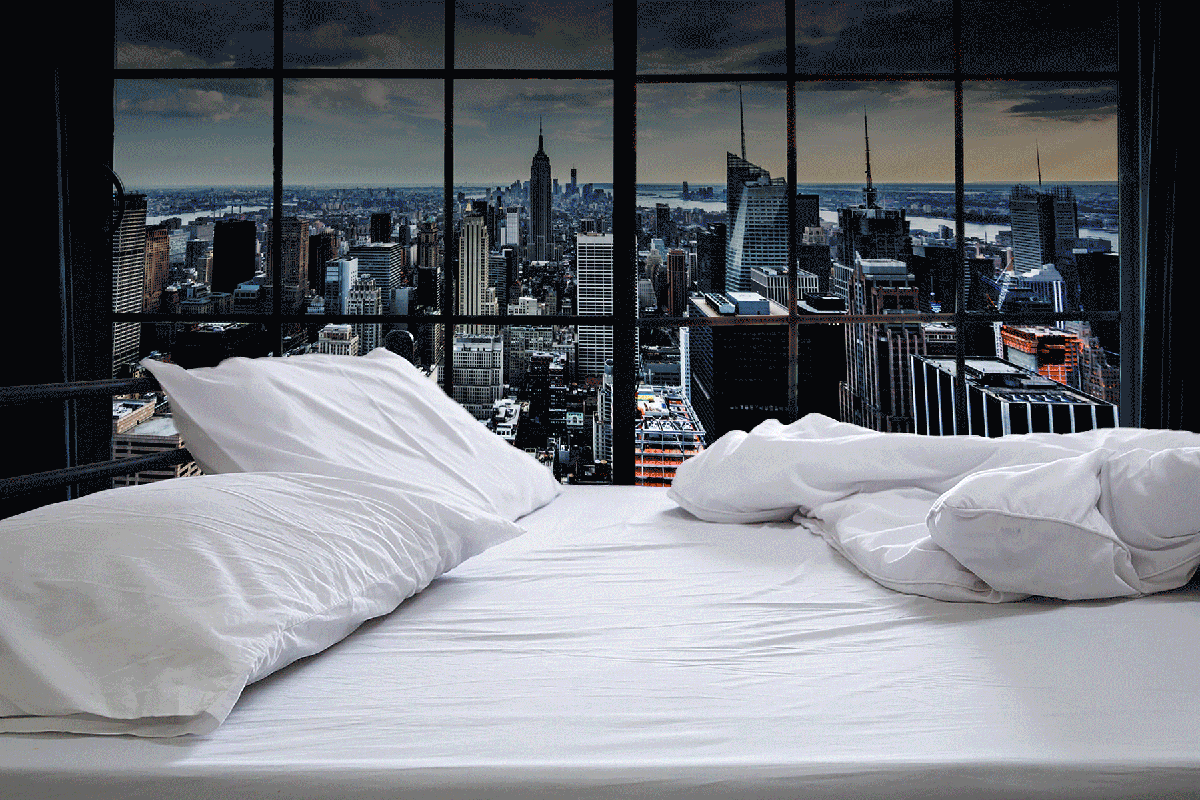 Bed Bug