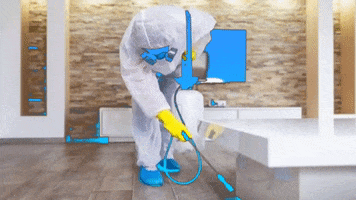 Professional pest inspection and monitoring service